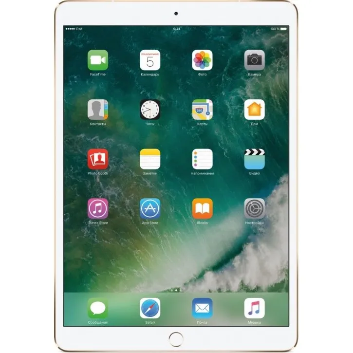 iPad Pro 10.5" 256 Gb Wi-Fi Gold