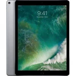 iPad Pro 12.9" 256 Gb Wi-Fi Spaсe Gray