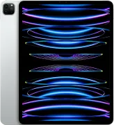 iPad Pro 11'' (2022) 2&nbsp;Тб