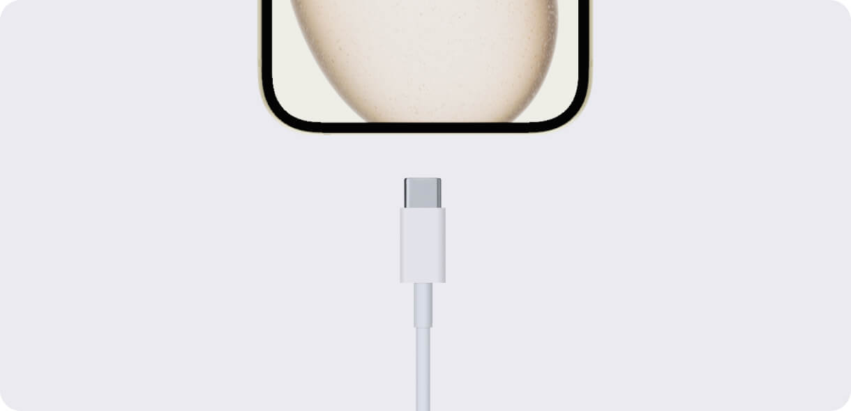 Изображение разъема USB-C